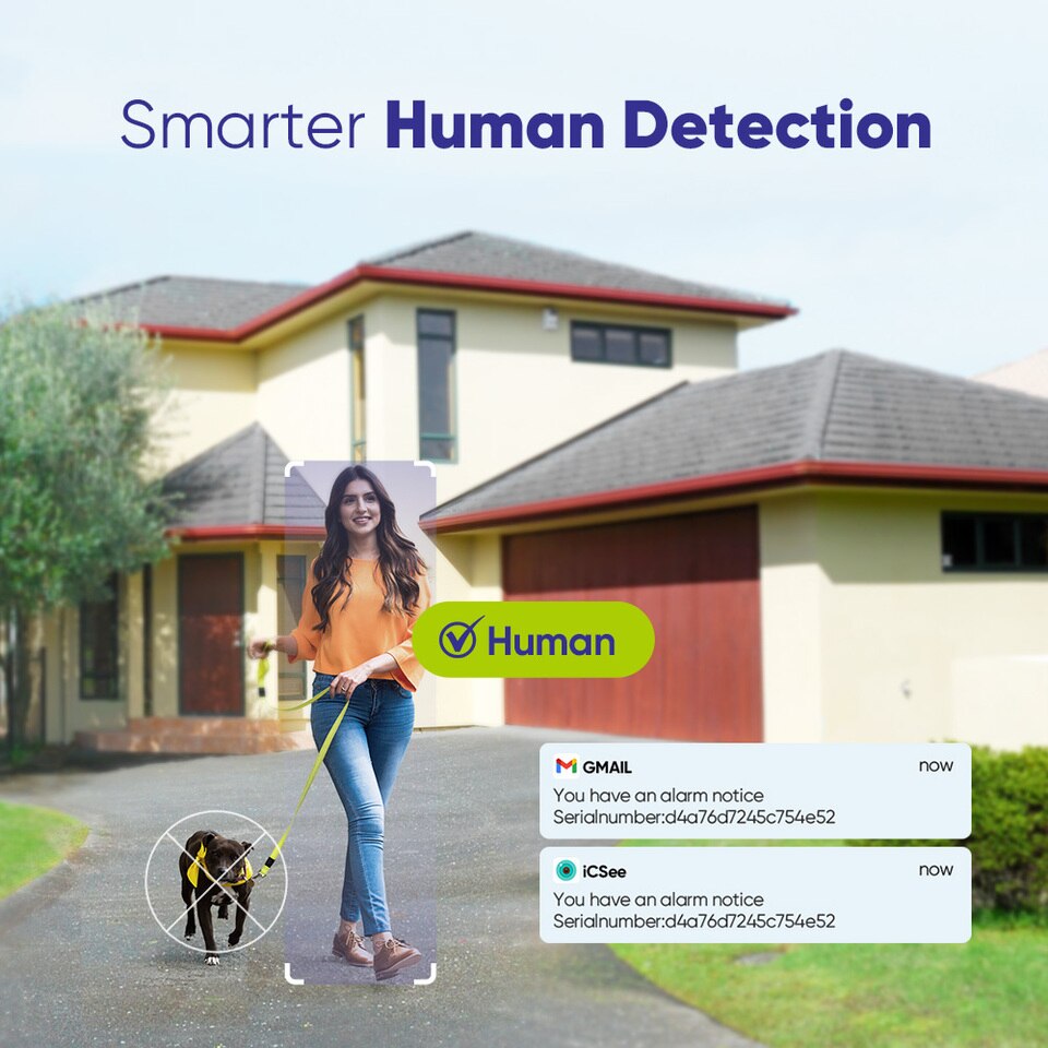 Dome Outdoor Video Surveillance - Image 5