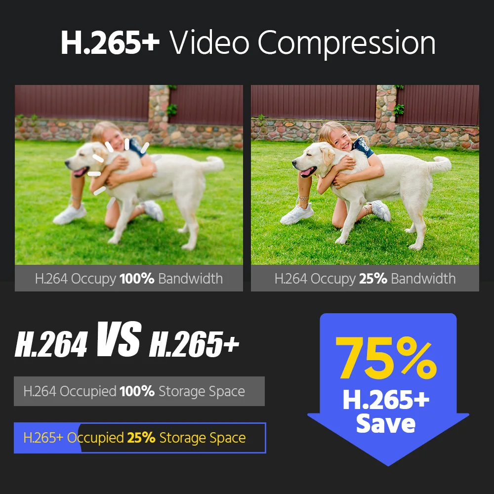 ANNKE 12MP Smart Dual Light Camera Kits Security Cam 8CH NVR 8PCS POE Camera Outdoor CCTV Video Surveillance Protection Camera - Image 5